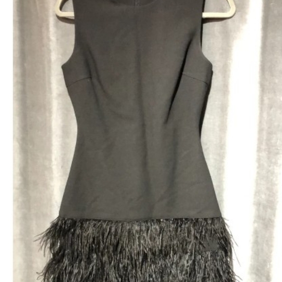 Elizabeth and James Feather Dress, Size 2, Black - Picture 4 of 4